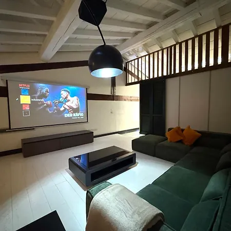 Apartment Industrial Loft - Garage-netflix-wifi *